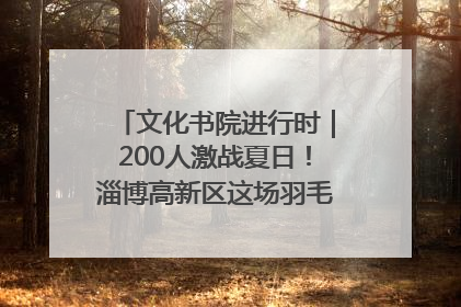 文化书院进行时｜200人激战夏日！淄博高新区这场羽毛球比赛太酷